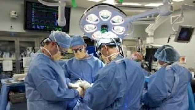 Çapa Transplantasyon Okulu´nun Ev Sahipliğini TBV Yapacak