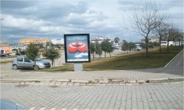 Şehirler Dünya Böbrek Günü Posterleri İle Donatıldı