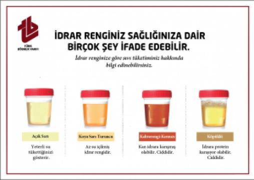BÖBREK SAĞLIĞININ SIRRI İDRAR RENGİNDE SAKLI!