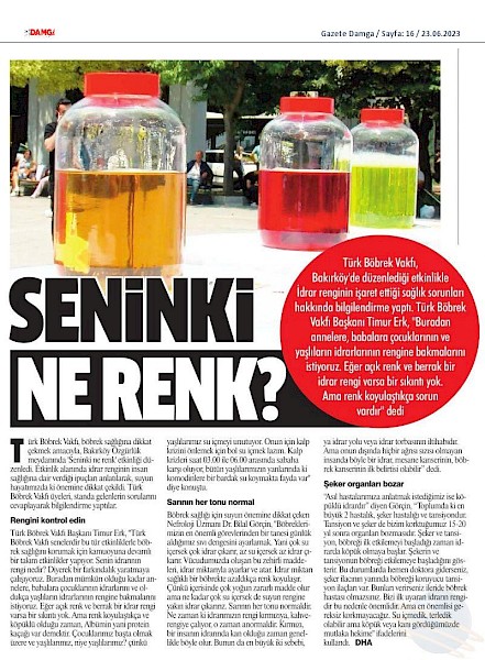 Seninki Ne Renk?