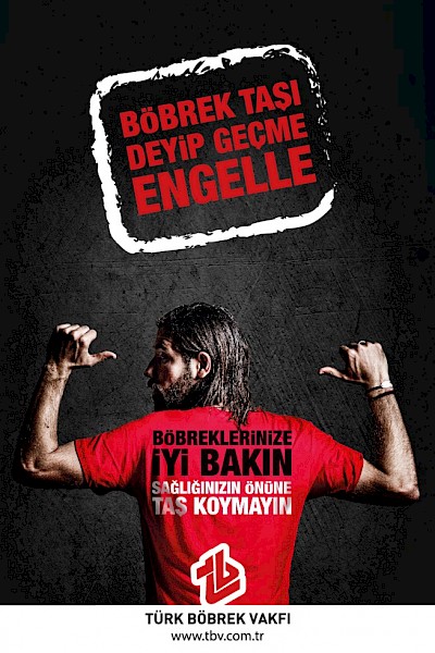 Böbrek Taşı Projesi