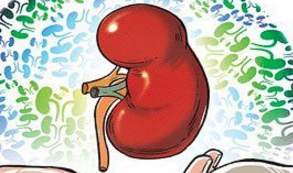 Koronavirus Nedeniyle Organ Nakilleri Sekteye Uğradı