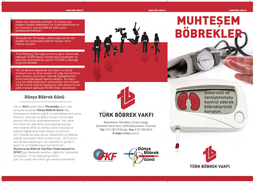Muhteşem Böbrekler