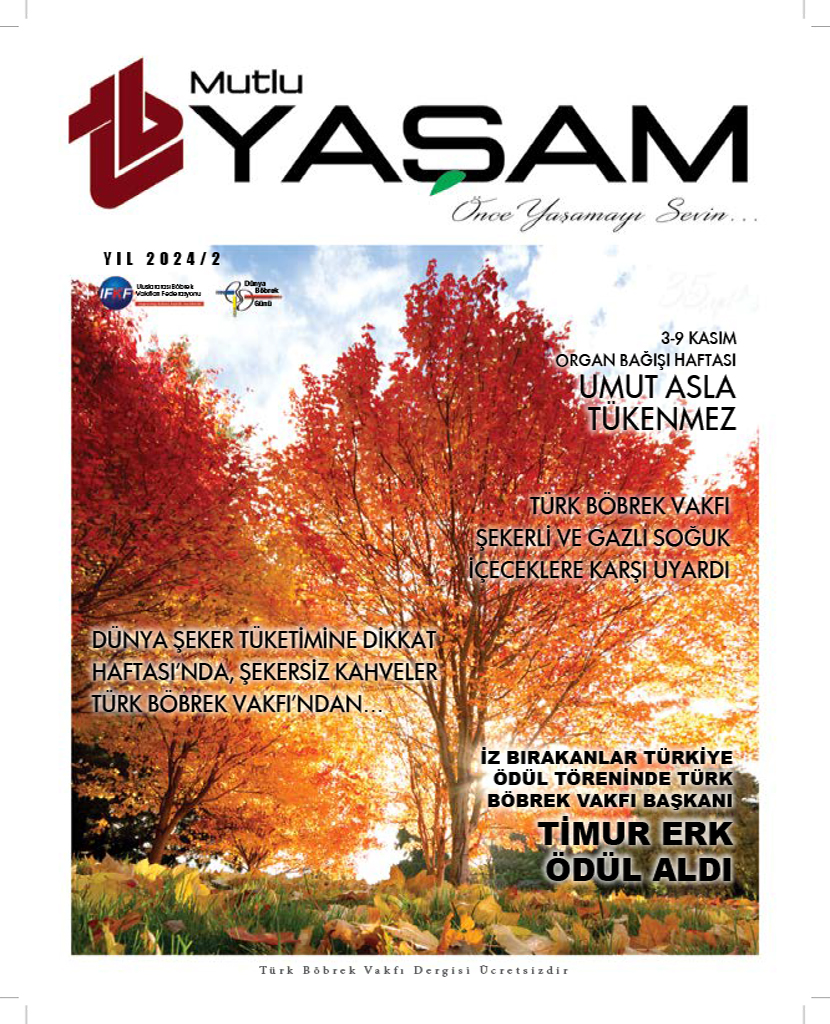 Yıl 2024 / 2