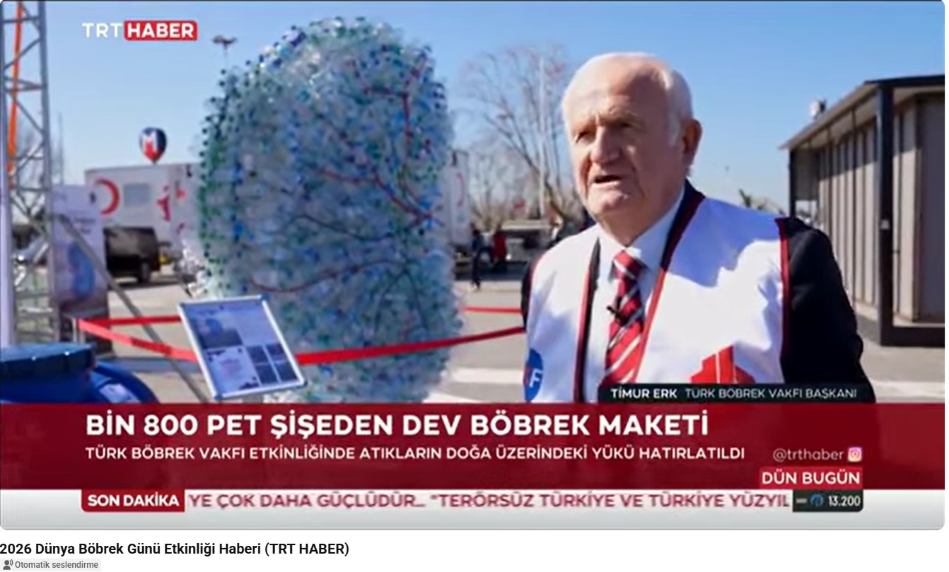 Bin 800 Şişeden Dev Böbrek Maketi