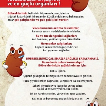 Çişini Tutma Böbreklerini Yorma